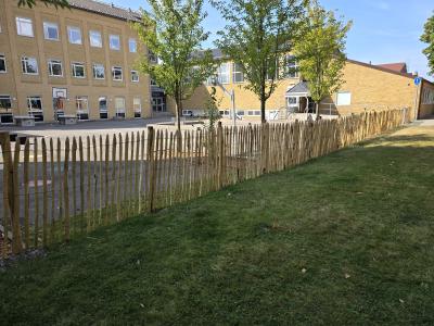 Kastanjestaket 1